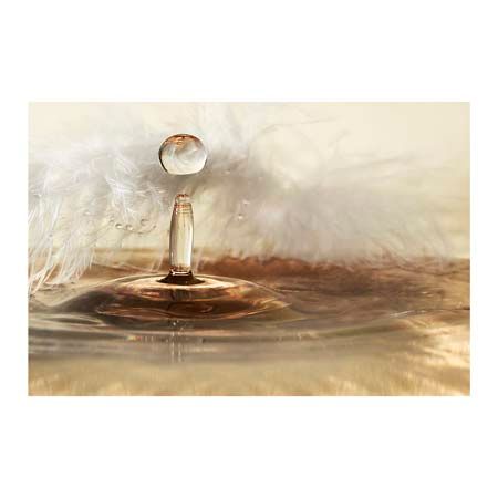 1x Collection Open Edition Canvas Giclee :"Golden Feather Drops" 1x Collection Open Edition Canvas Giclee :"Golden Feather Drops"