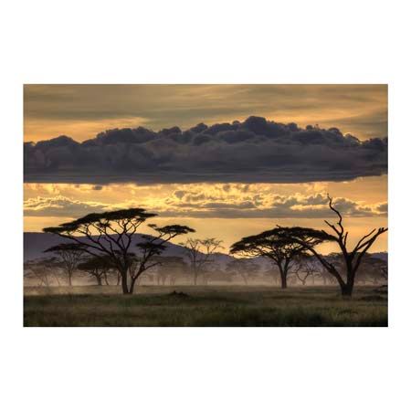 1x Collection Open Edition Canvas Giclee :"Good Evening Tanazania"