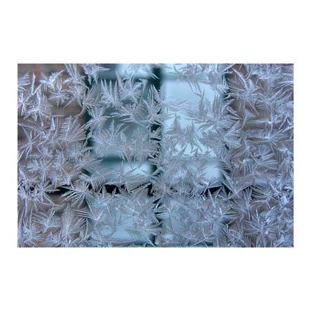 1x Collection Open Edition Canvas Giclee :"Hoar"