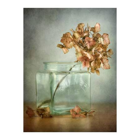 1x Collection Open Edition Canvas Giclee :"Hydrangea"