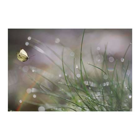 1x Collection Open Edition Canvas Giclee :"Imminent Landing" 1x Collection Open Edition Canvas Giclee :"Imminent Landing"