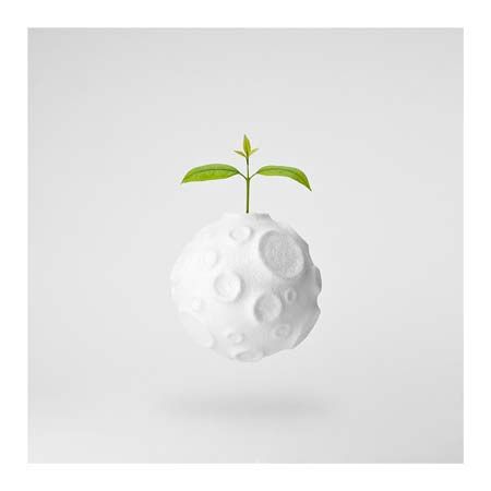 1x Collection Open Edition Canvas Giclee :"In My World"