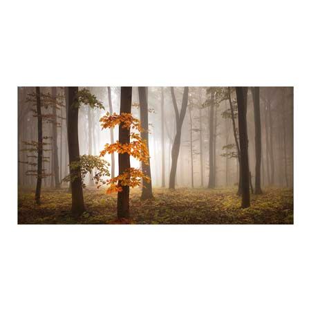 1x Collection Open Edition Canvas Giclee :"In November Light" 1x Collection Open Edition Canvas Giclee :"In November Light"