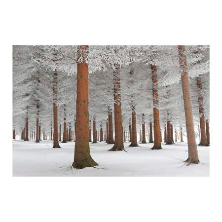 1x Collection Open Edition Canvas Giclee :"In White"