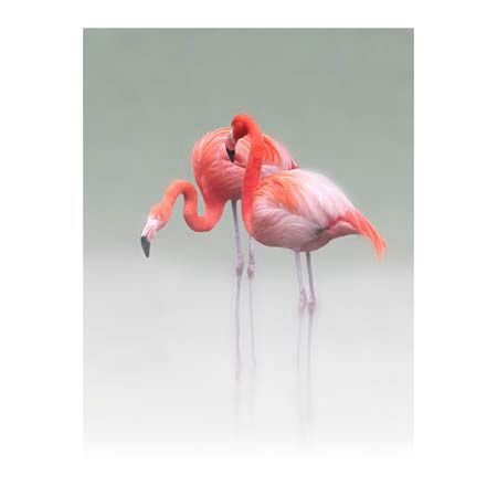 1x Collection Open Edition Canvas Giclee :"Just We Two"