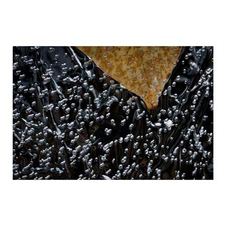 1x Collection Open Edition Canvas Giclee :"Leaves Frozen in Ice"