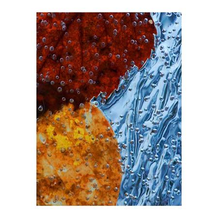 1x Collection Open Edition Canvas Giclee :"Leaves Frozen in Ice" 1x Collection Open Edition Canvas Giclee :"Leaves Frozen in Ice"