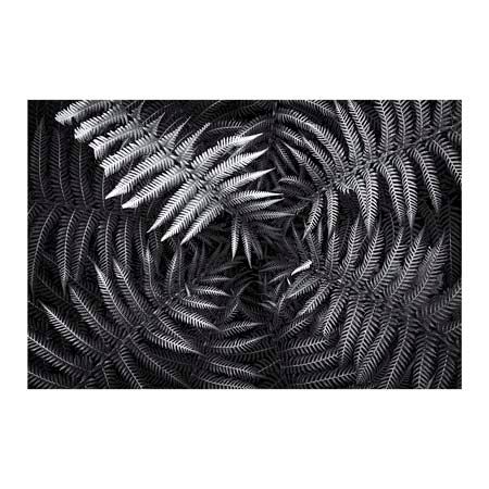 1x Collection Open Edition Canvas Giclee :"Leaves I"