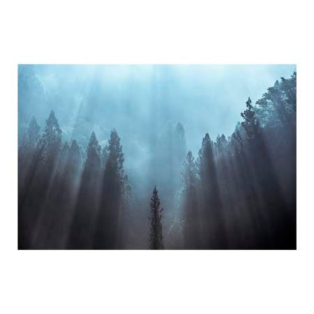 1x Collection Open Edition Canvas Giclee :"Light to Be Believed Likely"