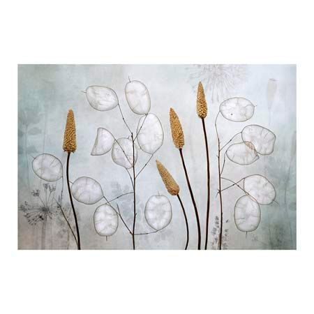 1x Collection Open Edition Canvas Giclee :"Lunaria"