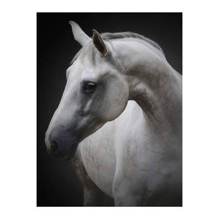1x Collection Open Edition Canvas Giclee :"Maggie" 1x Collection Open Edition Canvas Giclee :"Maggie"