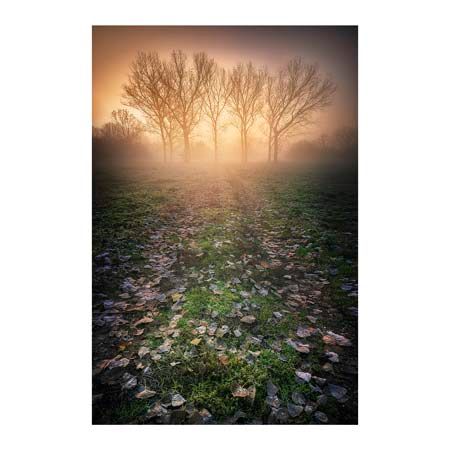 1x Collection Open Edition Canvas Giclee :"Misty Morning"