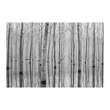 1x Collection Open Edition Canvas Giclee :"Novembre 2014" 1x Collection Open Edition Canvas Giclee :"Novembre 2014"