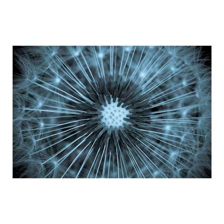 1x Collection Open Edition Canvas Giclee :"O"