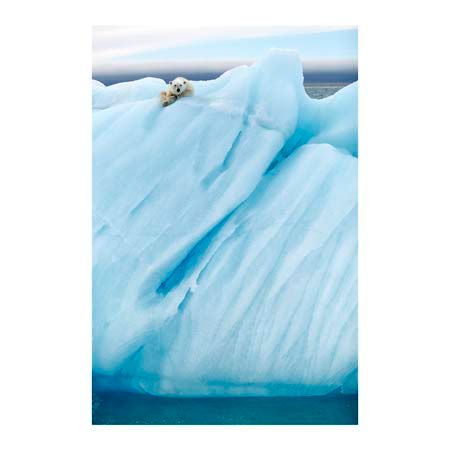 1x Collection Open Edition Canvas Giclee :"Observing"