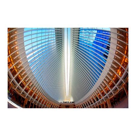 1x Collection Open Edition Canvas Giclee :"Oculus"