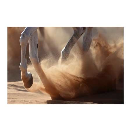 1x Collection Open Edition Canvas Giclee :"Oman Desert"