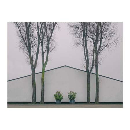 1x Collection Open Edition Canvas Giclee :"Paired"