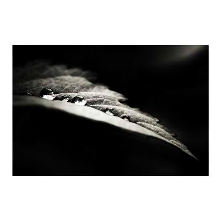1x Collection Open Edition Canvas Giclee :"Perles Nocturnes"