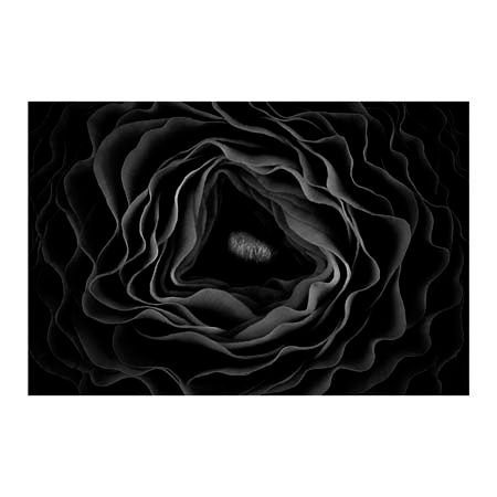 1x Collection Open Edition Canvas Giclee :"Persian Buttercup"