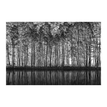 1x Collection Open Edition Canvas Giclee :"Pointillism Nature"