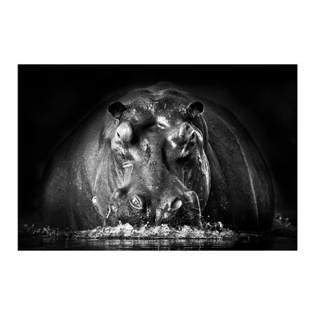 1x Collection Open Edition Canvas Giclee :"Power"