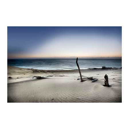 1x Collection Open Edition Canvas Giclee :"Reach for the Sun"