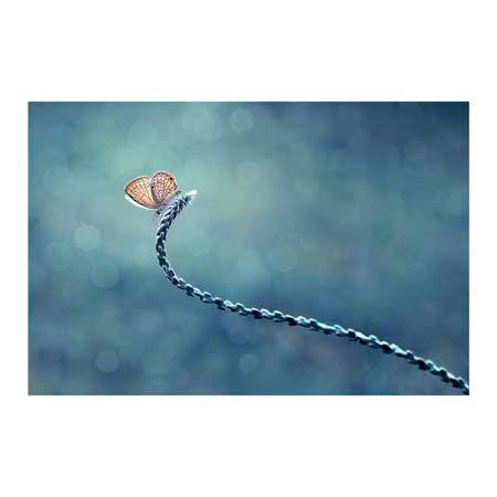 1x Collection Open Edition Canvas Giclee :"Sendiri Lagi"