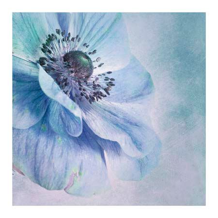 1x Collection Open Edition Canvas Giclee :"Shades of Blue"