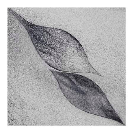 1x Collection Open Edition Canvas Giclee :"Shaped by a Creative Wind"