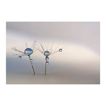 1x Collection Open Edition Canvas Giclee :"Soft Light"