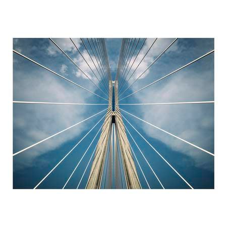 1x Collection Open Edition Canvas Giclee :"Spider"