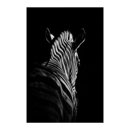 1x Collection Open Edition Canvas Giclee :"Stepping Down VI" 1x Collection Open Edition Canvas Giclee :"Stepping Down VI"