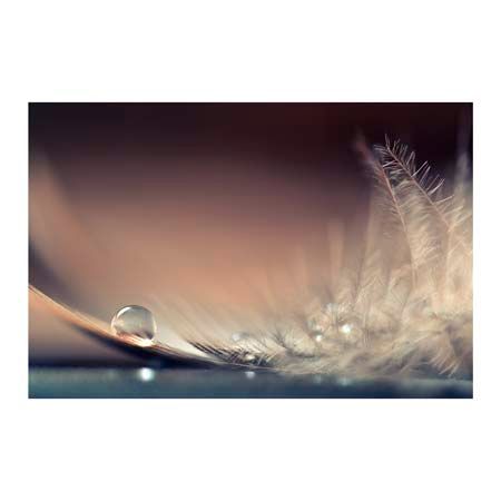 1x Collection Open Edition Canvas Giclee :"Stories of Drops"