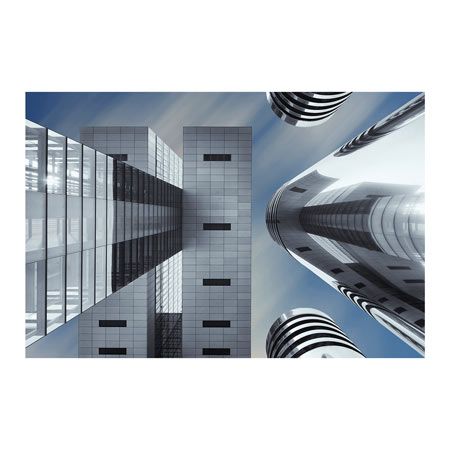 1x Collection Open Edition Canvas Giclee :"Symbiosis"