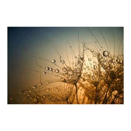 1x Collection Open Edition Canvas Giclee :"Tender is the Night"