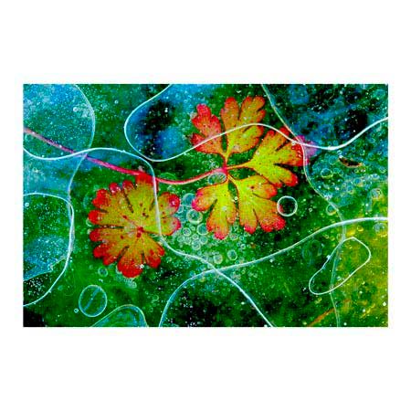 1x Collection Open Edition Canvas Giclee :"Thaw" 1x Collection Open Edition Canvas Giclee :"Thaw"