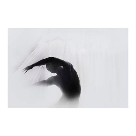 1x Collection Open Edition Canvas Giclee :"The Dance of Silence"