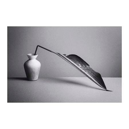 1x Collection Open Edition Canvas Giclee :"The Leaf" 1x Collection Open Edition Canvas Giclee :"The Leaf"