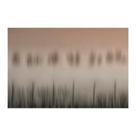 1x Collection Open Edition Canvas Giclee :"The Magic of a Foggy Mountain"