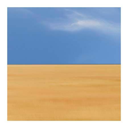 1x Collection Open Edition Canvas Giclee :"The Summer We Fell in Love"