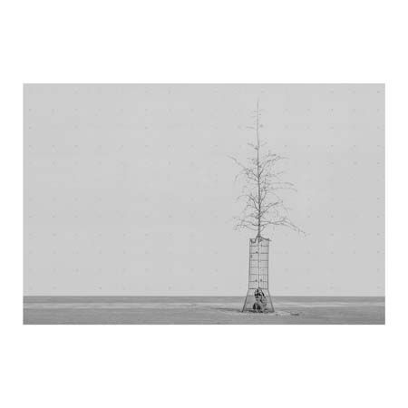1x Collection Open Edition Canvas Giclee :"The Tree" 1x Collection Open Edition Canvas Giclee :"The Tree"