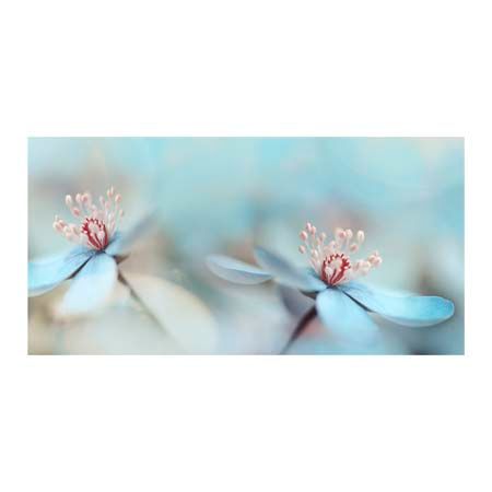 1x Collection Open Edition Canvas Giclee :"The Two of Us"