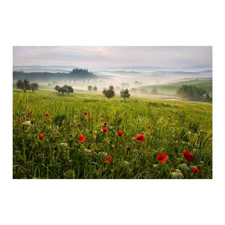 1x Collection Open Edition Canvas Giclee :"Tuscan Spring"