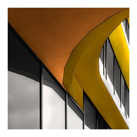 1x Collection Open Edition Canvas Giclee :"Two Shades of Gold" 1x Collection Open Edition Canvas Giclee :"Two Shades of Gold"