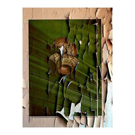 1x Collection Open Edition Canvas Giclee :"Untitled"