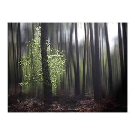 1x Collection Open Edition Canvas Giclee :"Untitled I" 1x Collection Open Edition Canvas Giclee :"Untitled I"
