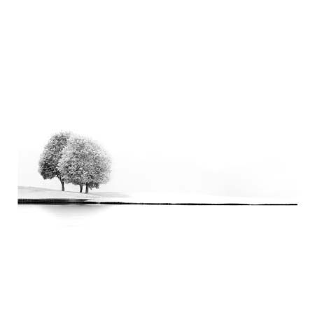 1x Collection Open Edition Canvas Giclee :"Untitled II"