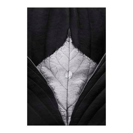 1x Collection Open Edition Canvas Giclee :"Untitled III" 1x Collection Open Edition Canvas Giclee :"Untitled III"