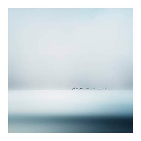 1x Collection Open Edition Canvas Giclee :"Wild Geese" 1x Collection Open Edition Canvas Giclee :"Wild Geese"